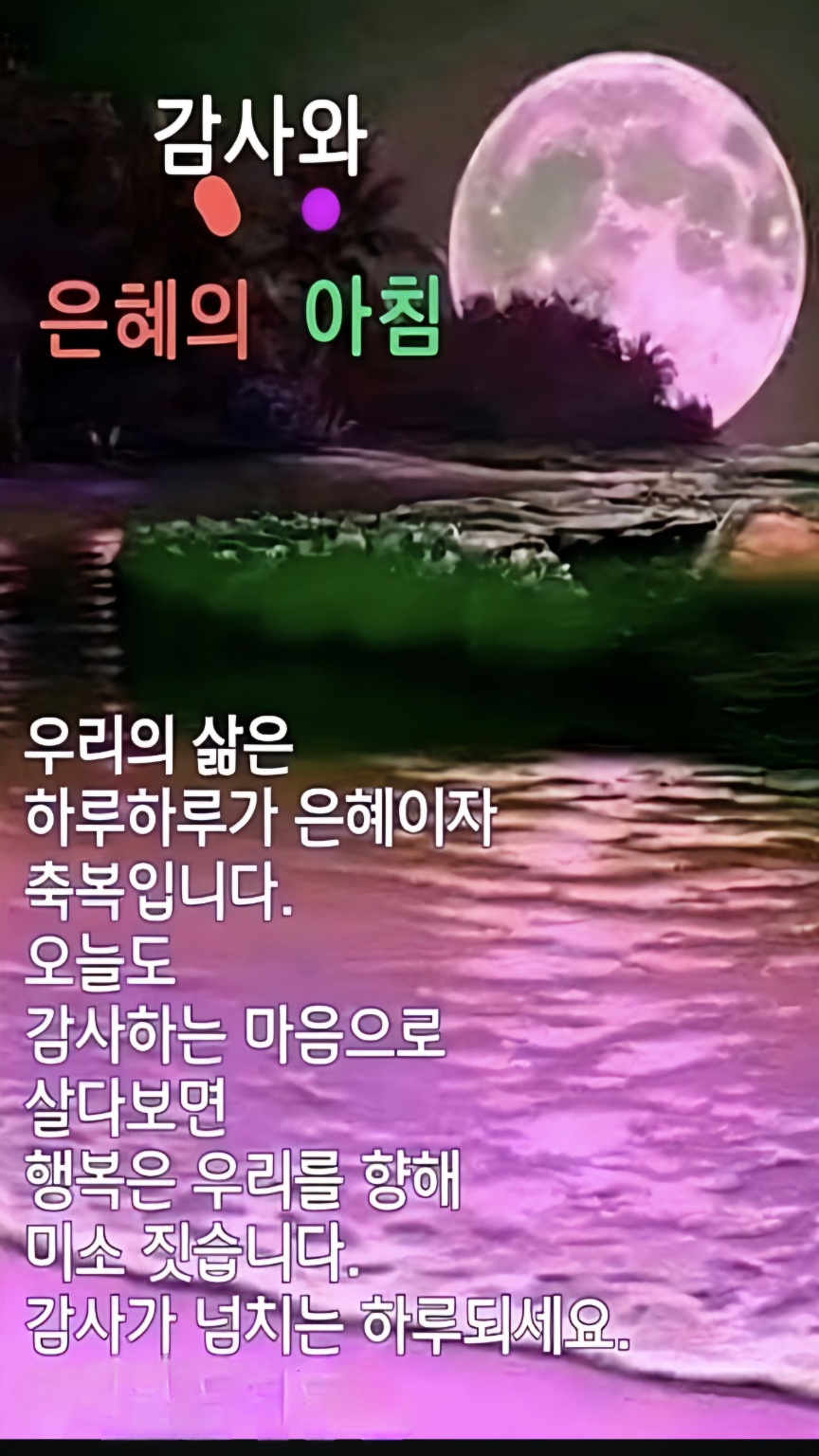 행복한샘물 이미지
