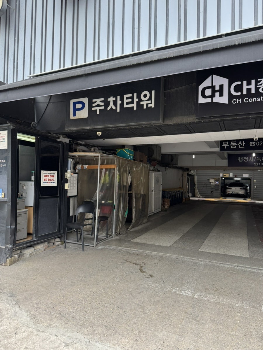 강남 애견카페 펫타리움, 반려견 놀이터 후기 — 사진 2