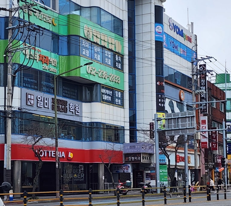 울산동구알비제과제빵바리스타학원 이미지