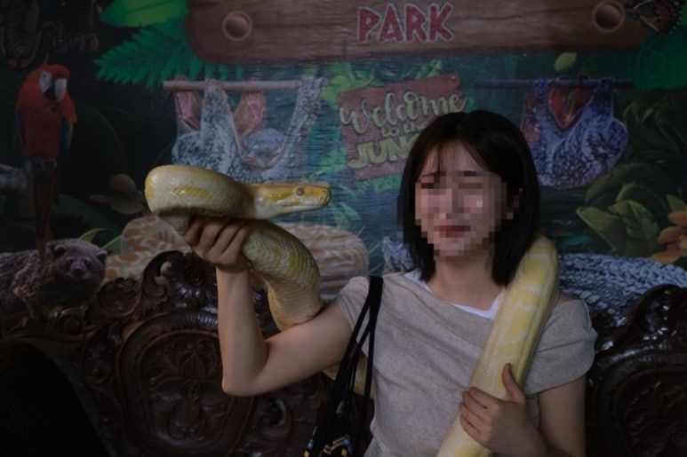 나비트레킹투어 이미지