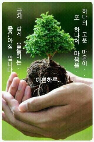 오피니언 이미지
