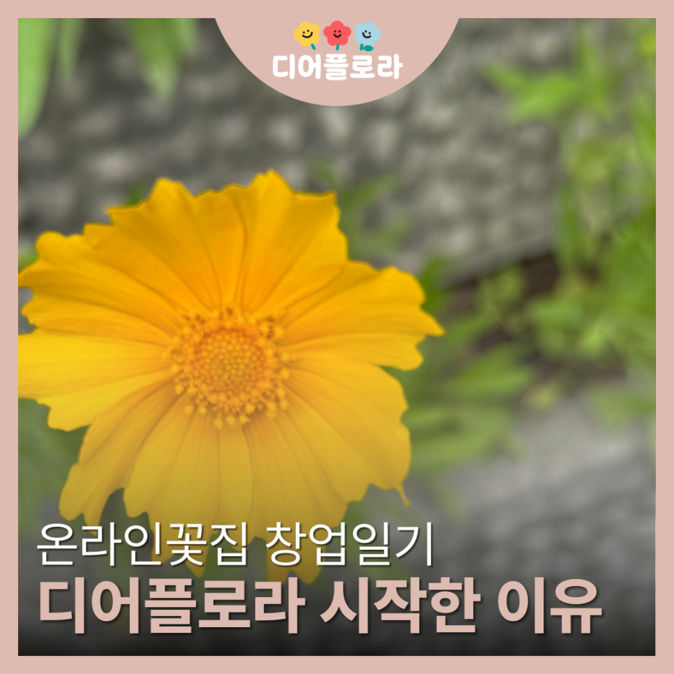 디어플로라 이미지