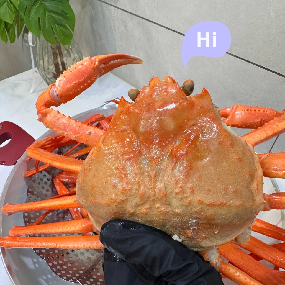 자연애수산 이미지