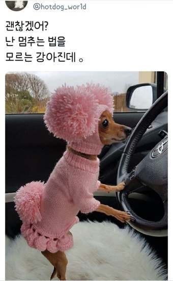귤꽃향기 이미지