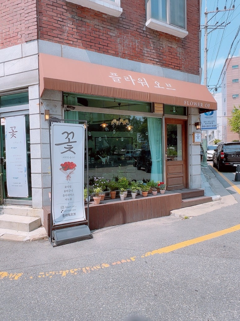 플라워오브 이미지