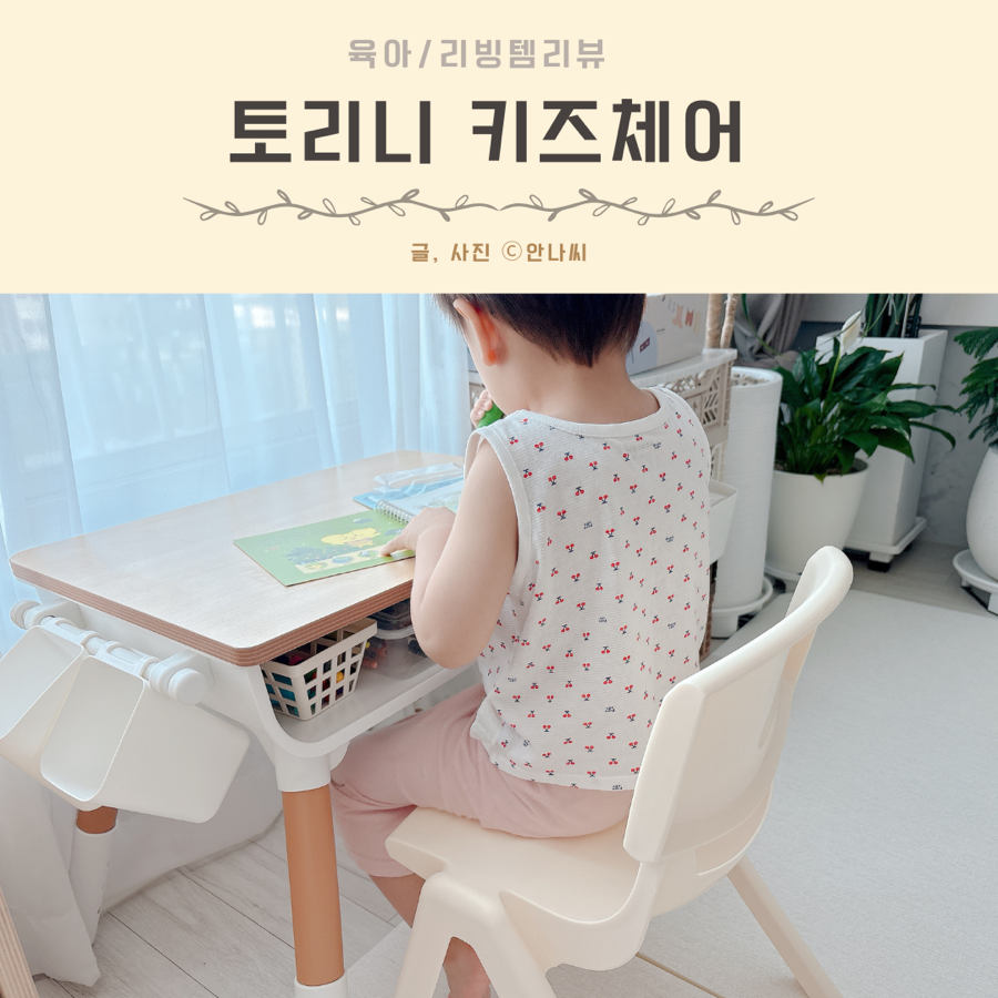 포블리스 이미지