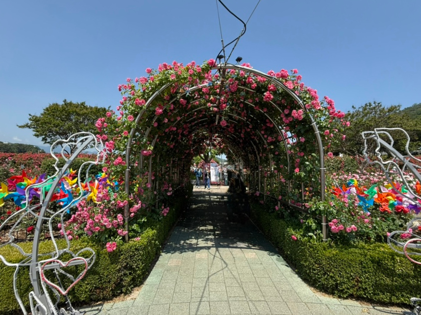중앙제일신발 이미지