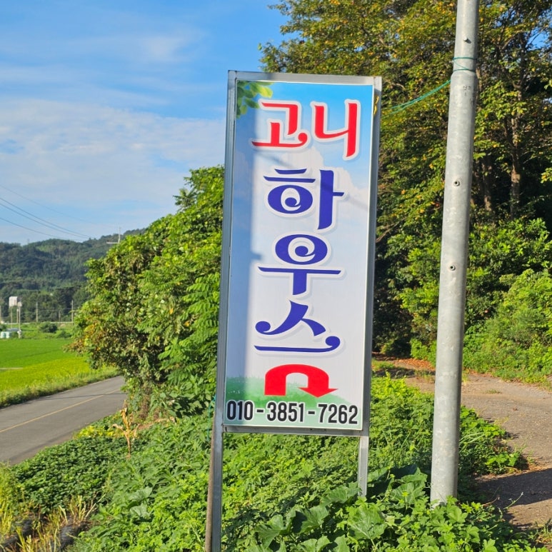 고니하우스 이미지