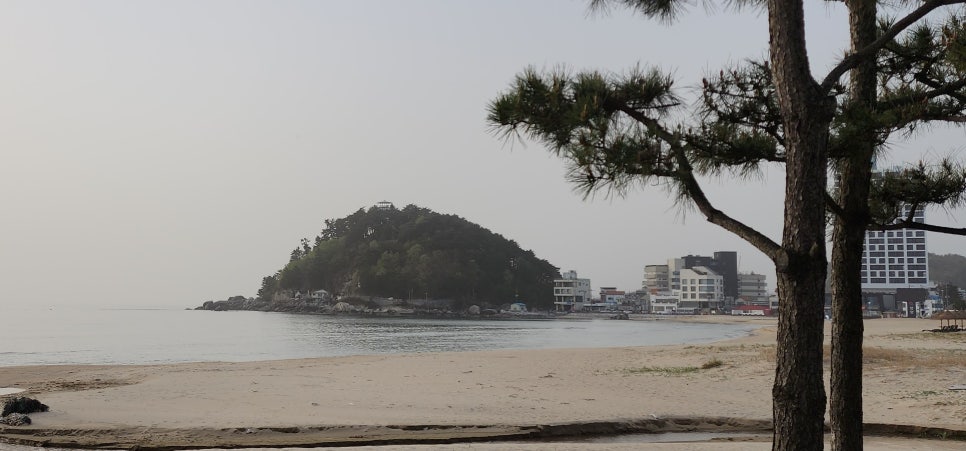 하조대농업협동조합 이미지