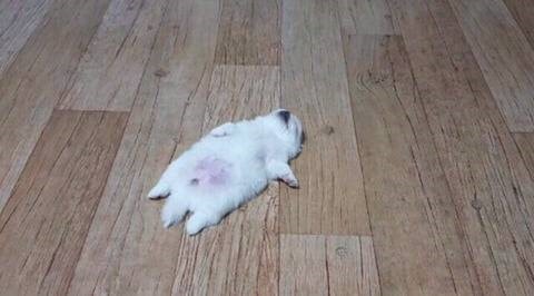 오르빛정원 이미지
