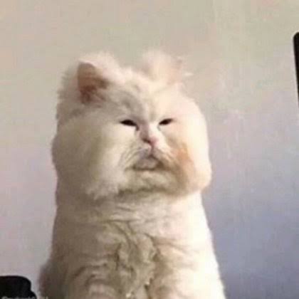 파코커피 이미지