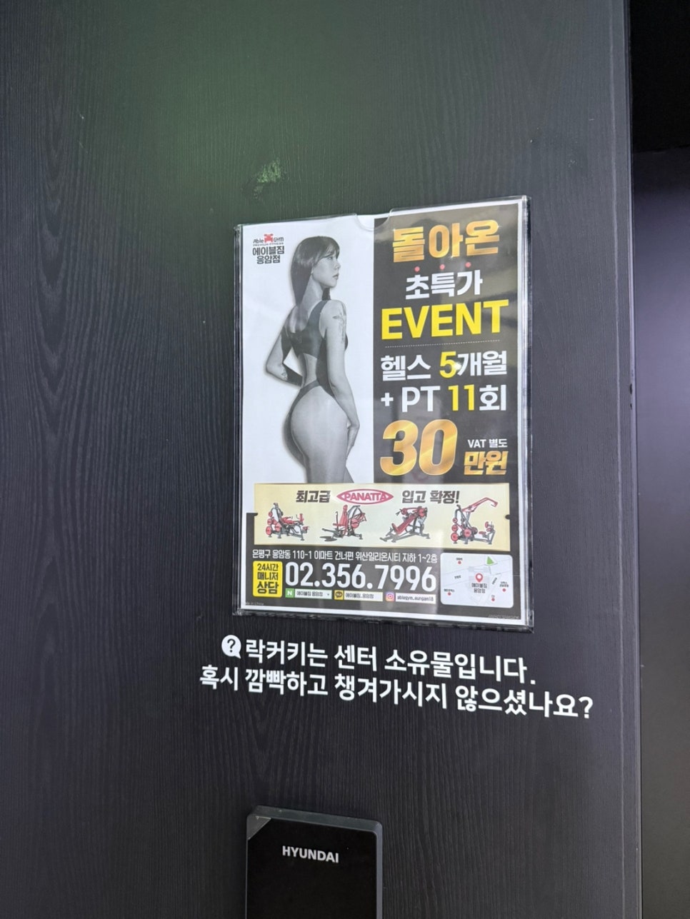 에이블짐휘트니스 이미지