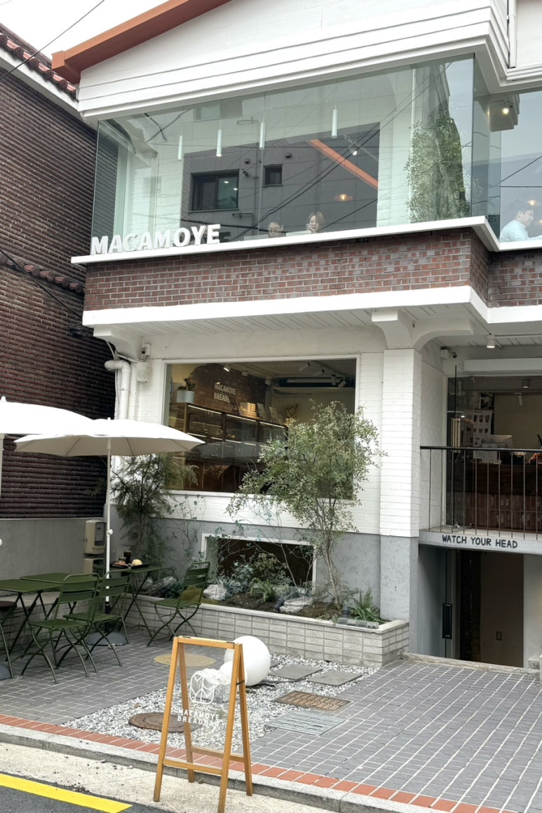마카모예브레드바 이미지
