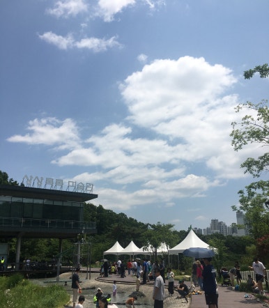 사진찍기좋은날 이미지