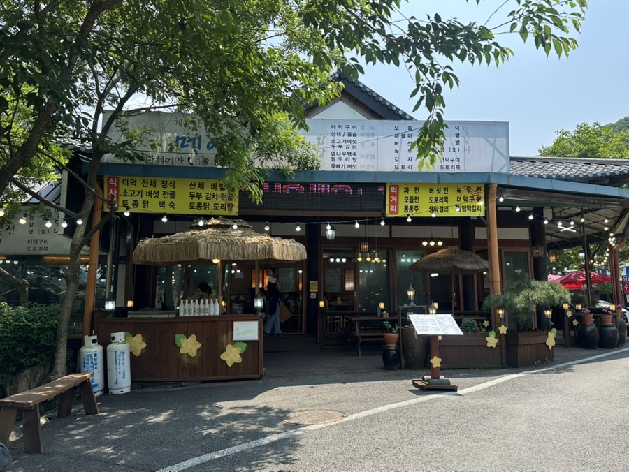 메아리식당 이미지