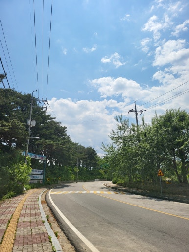 초도반점 이미지