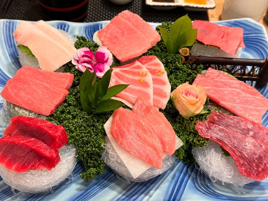 와참치 이미지