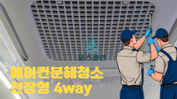 올스클린 이미지