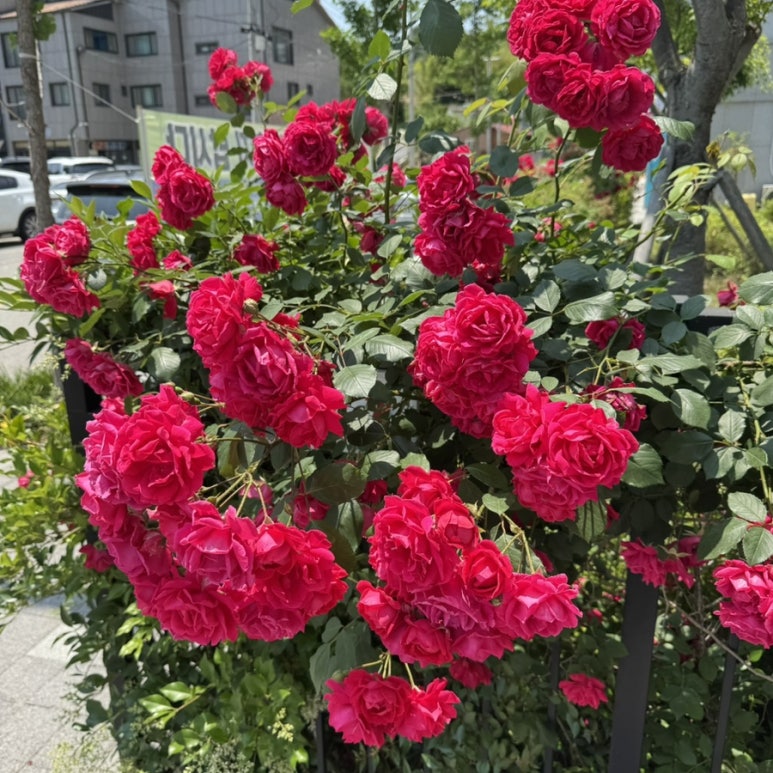 미소부엌 초전점 이미지