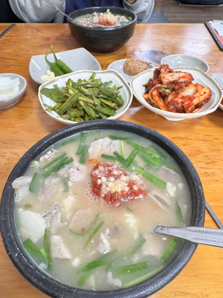돼지카센터 이미지