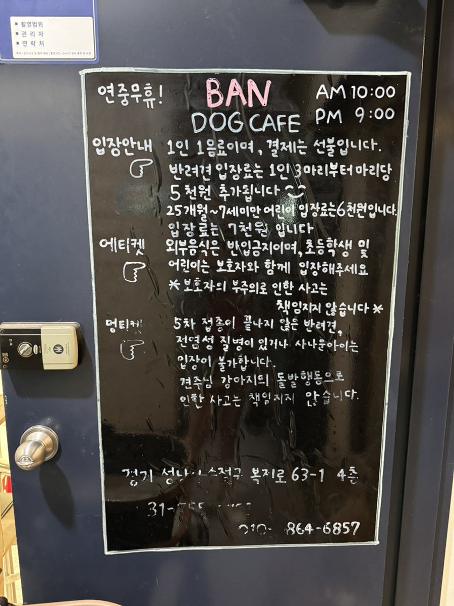 성남 위례 애견카페 반도그, 강아지 놀이터 비용 및 후기 — 사진 6