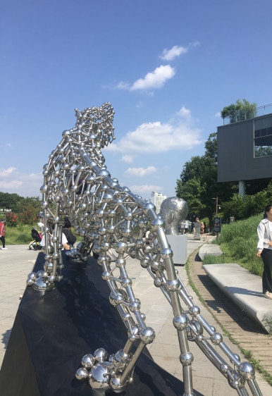 사진찍기좋은날 이미지