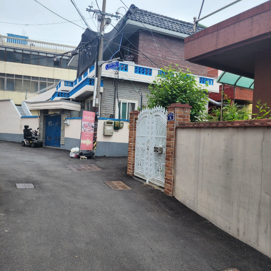 오토리스시 이미지