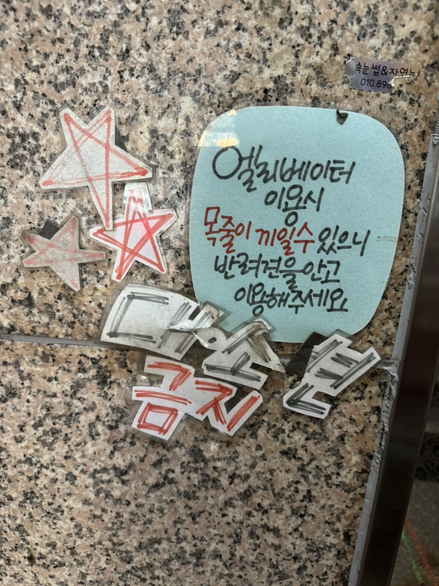 성남 위례 애견카페 반도그, 강아지 놀이터 비용 및 후기 — 사진 4