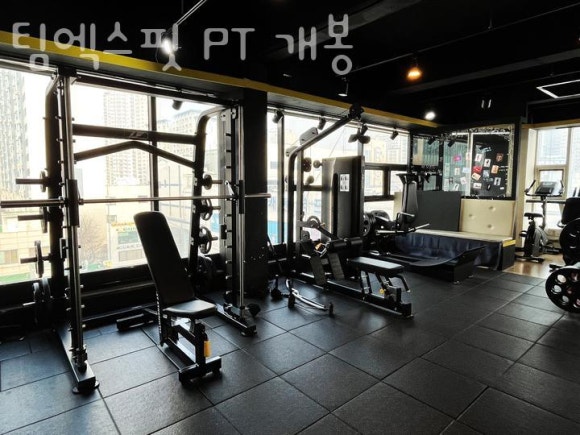 팀엑스핏 개봉 이미지