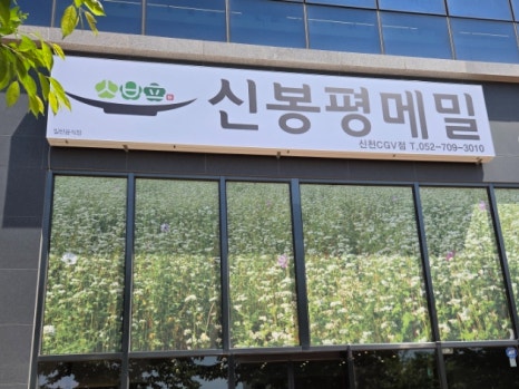 신봉평막국수 이미지