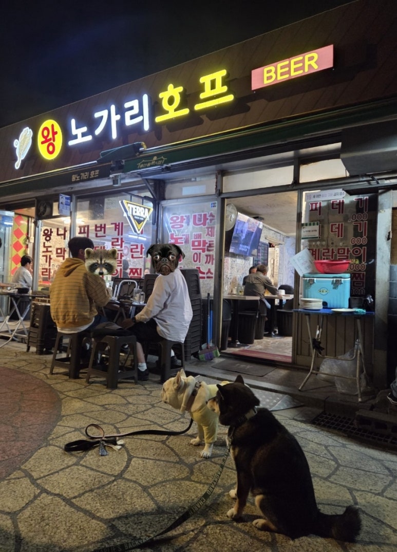 왕노가리호프 이미지