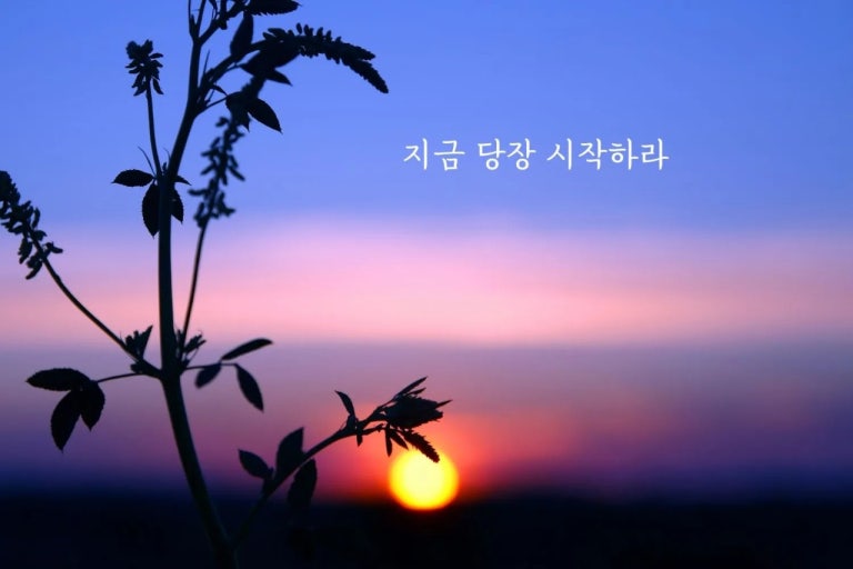 시작 이미지