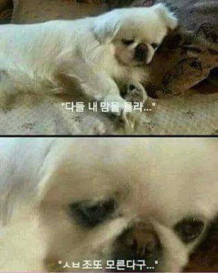 아 이미지
