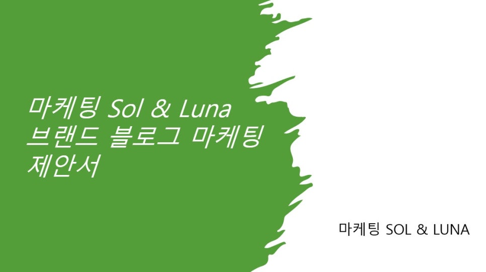 솔컨설팅 이미지
