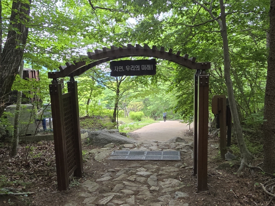 성중식당 이미지