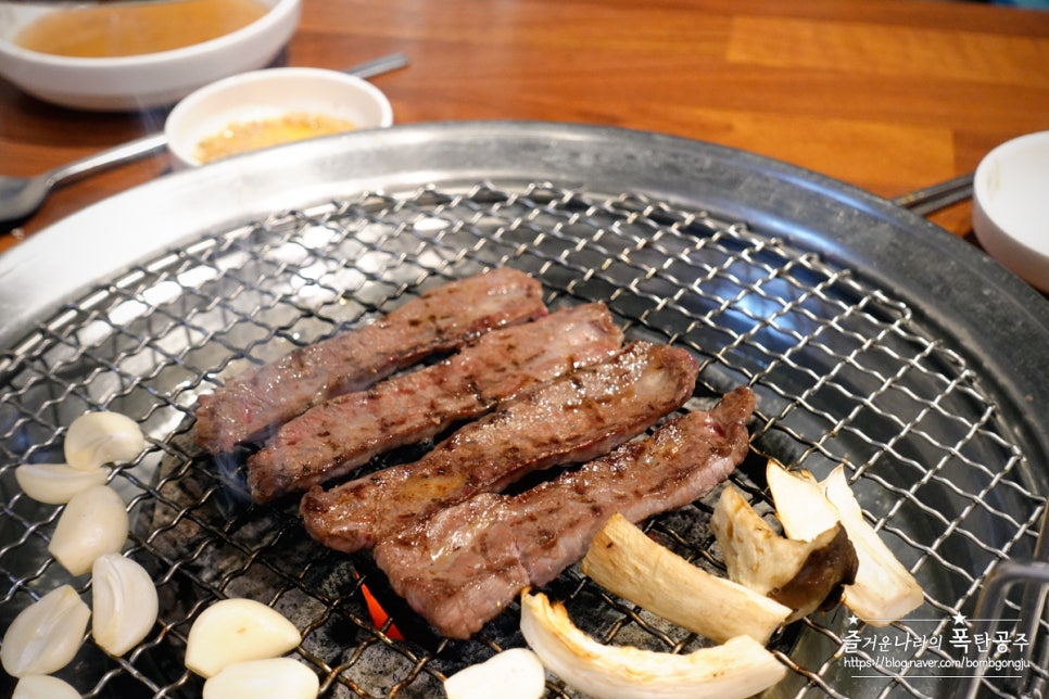 순한우암소한마리 이미지