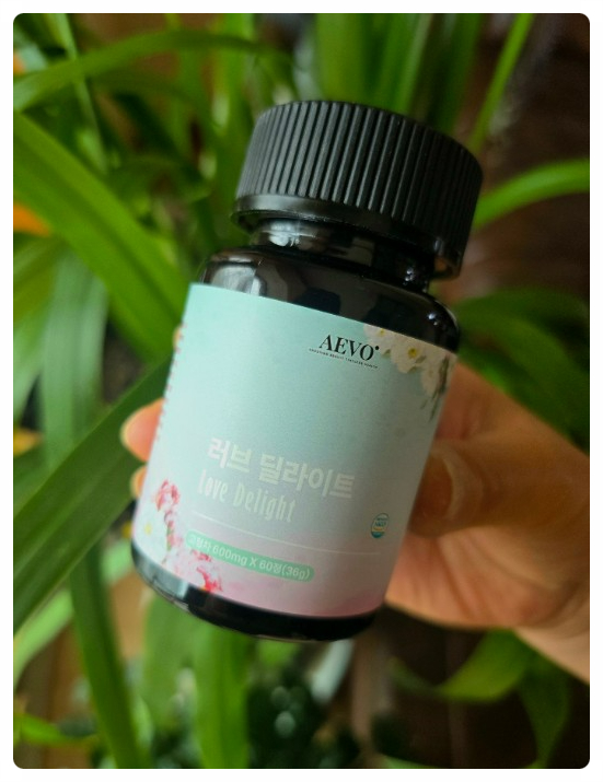 디자인딜라이트 이미지