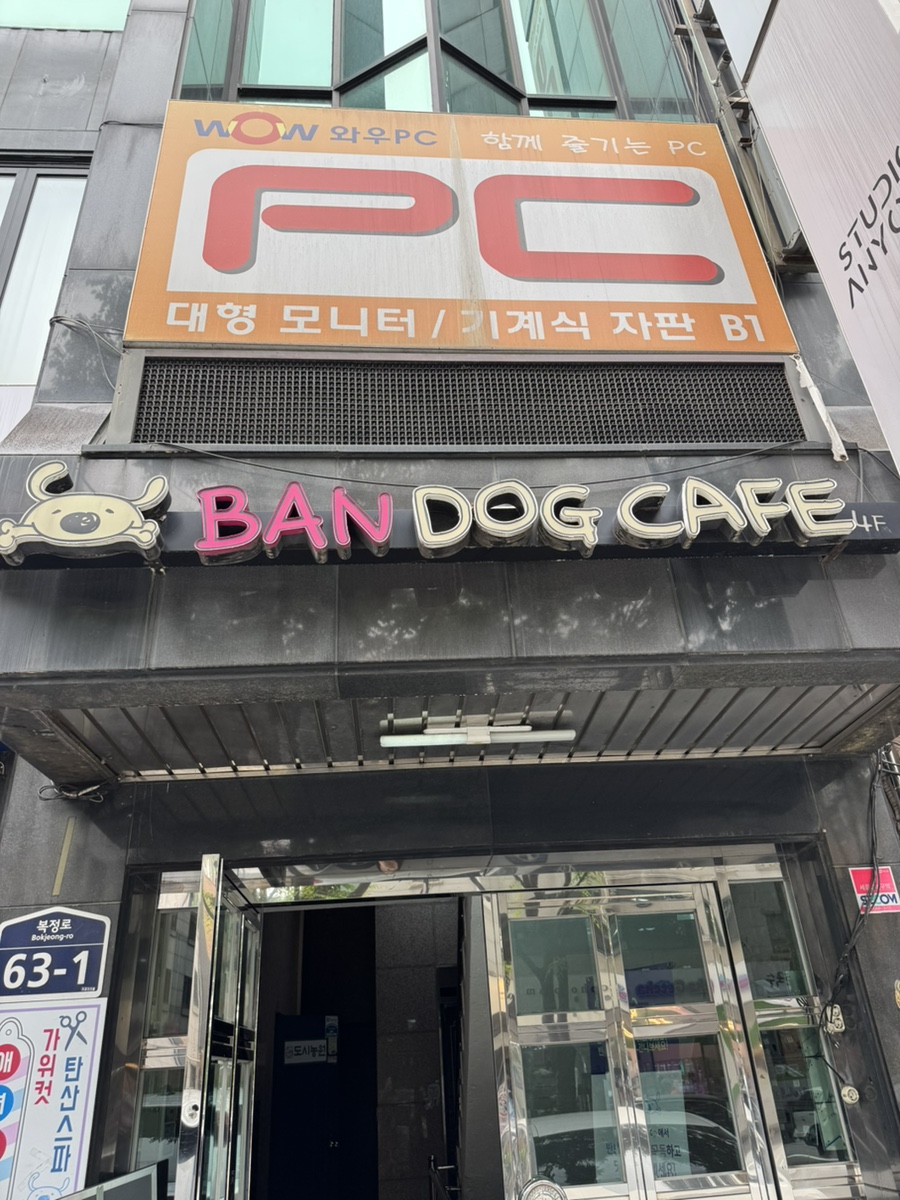 성남 위례 애견카페 반도그, 강아지 놀이터 비용 및 후기 — 사진 3