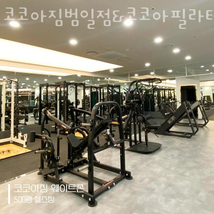 코코아짐 이미지