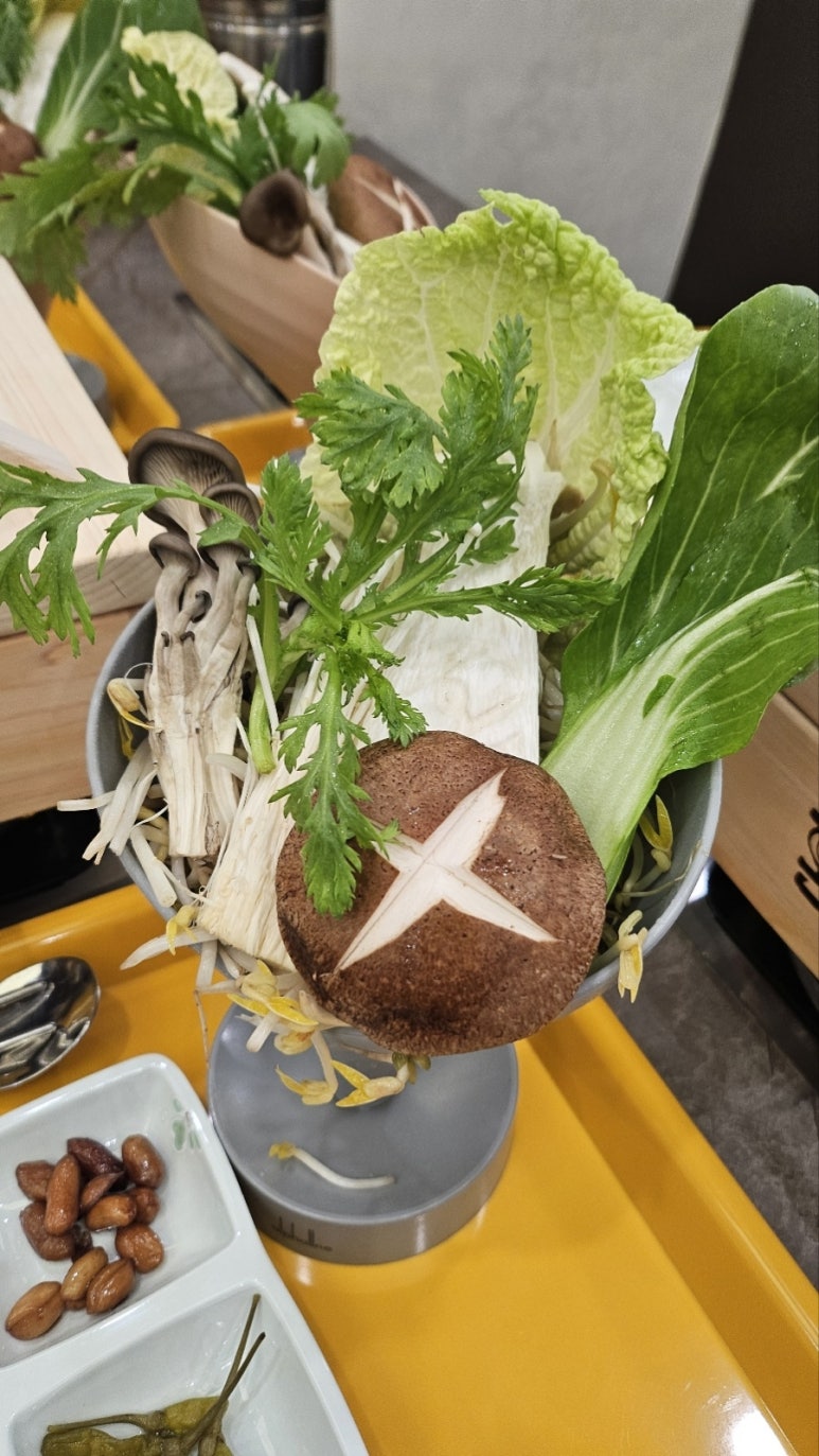편백 혼 샤브 이미지