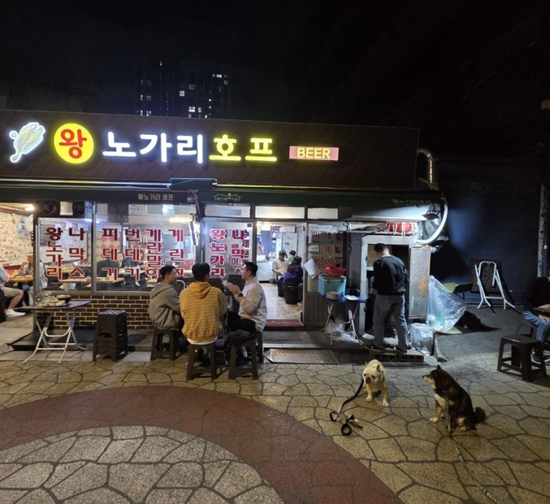 왕노가리호프 이미지