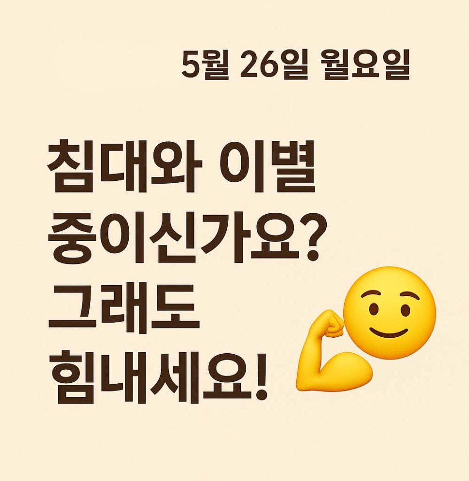 조이모 이미지