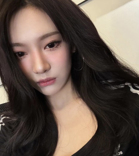 자이헤어 이미지