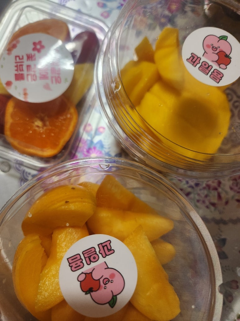 과일욤 이미지