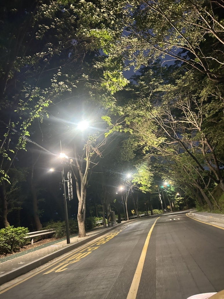 아델라스튜디오 이미지