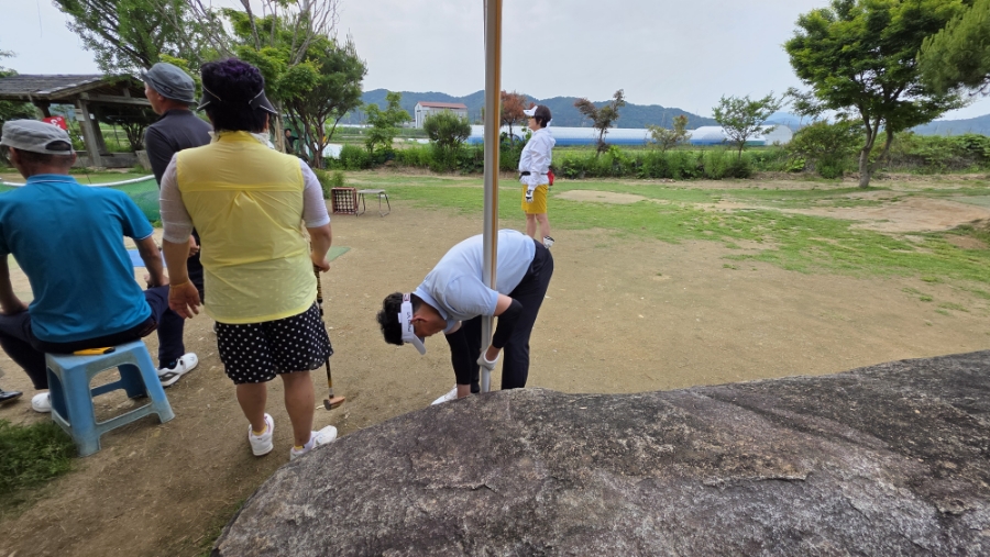 푸른캐노피 이미지