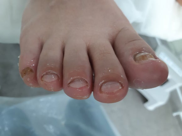 레푸스앤두두뷰티 이미지