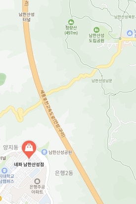 네파남한 이미지