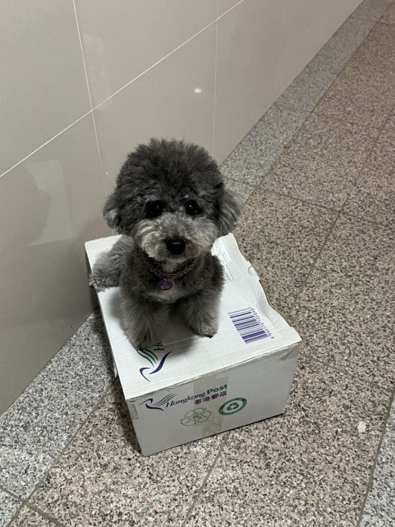 은미장원 이미지