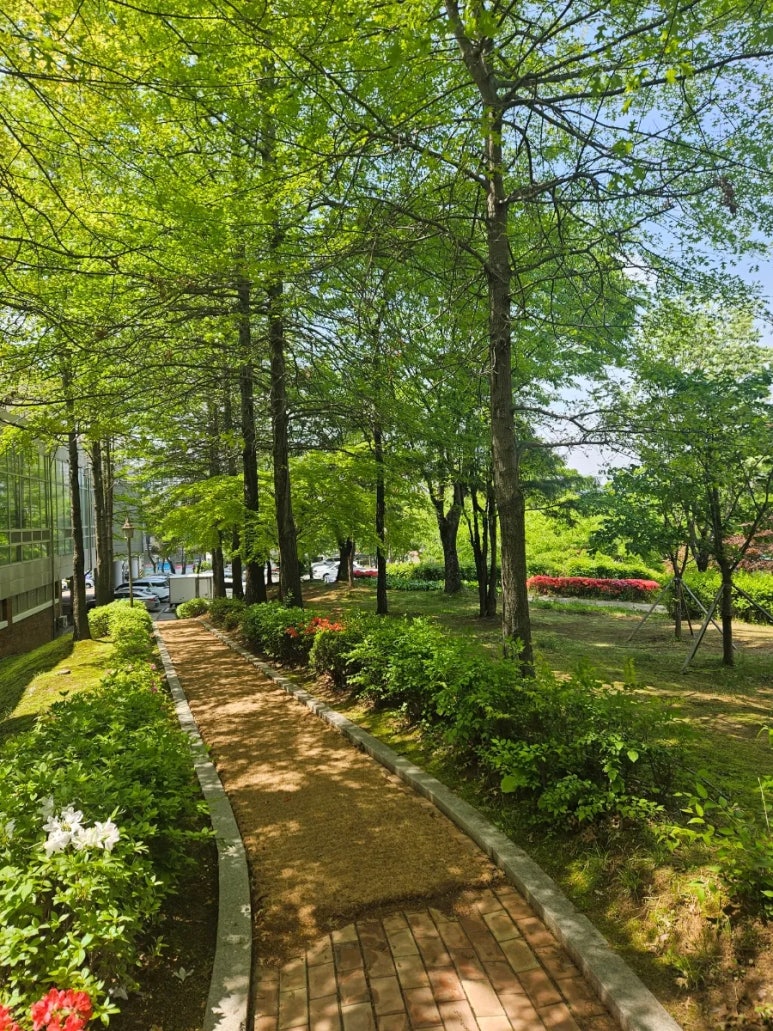 토닥토닥그림책연구소 이미지